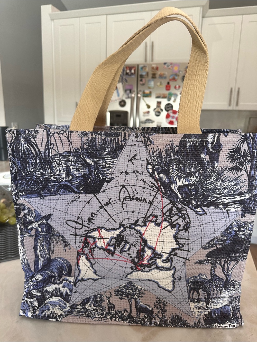 Dior Beige and Navy Star Map Canvas Tote